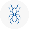 Ant Removals In Colyton