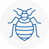 Bed Bug Extermination In Colyton