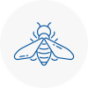 Bee Nest Removal Colyton
