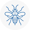 Colyton Hornet Nest Removals
