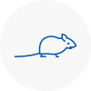 Mice Exterminators In Colyton