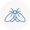 Moth Control Specialists In Colyton