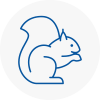 Colyton Rodent Removals